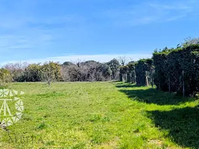 Laroque des Albères 66740 Achat / Vente terrain