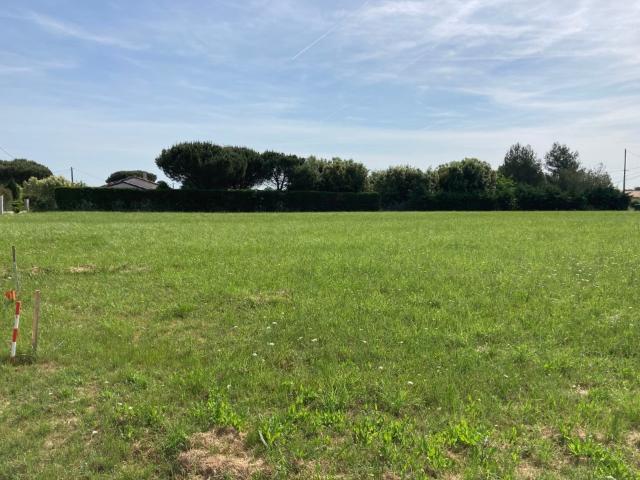 Larra Vente Terrain 31