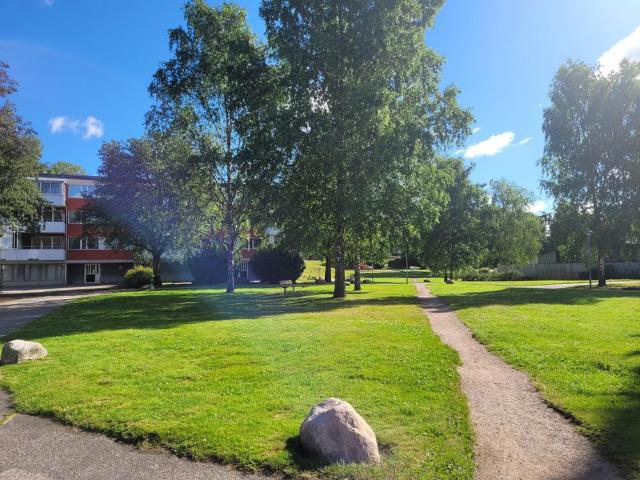 Lars Kaggsgatan, Borås