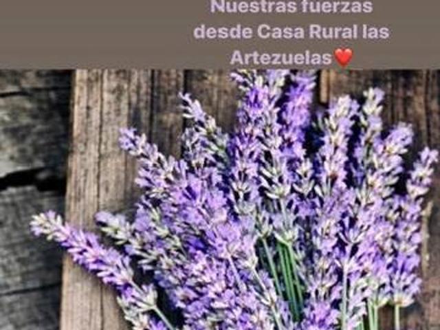 Las Artezuelas