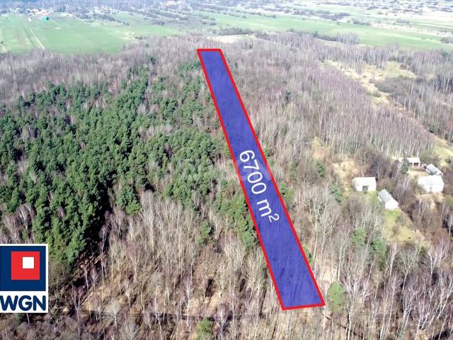 Las liściasty 80 lat, 6700 m², cena do negocjacji