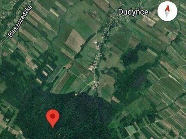 Las na sprzedaż udział w lesie wynoszący 1,46 ha, Pielnia