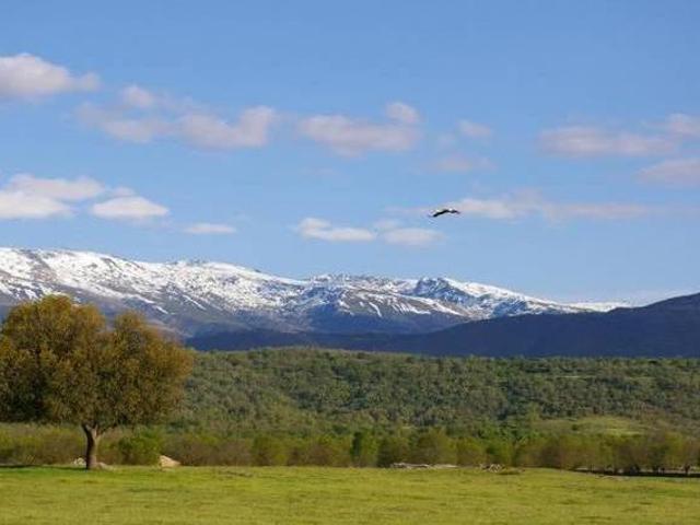 Las Palomas I Linares De Riofrio Salamanca