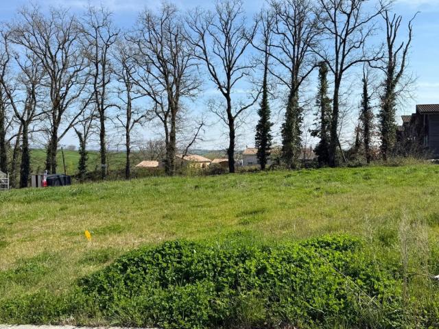 Lasgraisses Vente Terrain 81