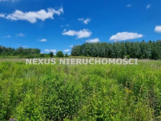 Laski 695 m², Dąbrowa Górnicza