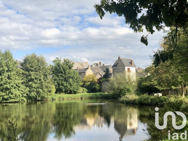 Lassay les Châteaux Vente Maison 53