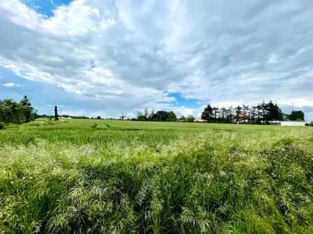 Latillé 86190 Achat / Vente terrain