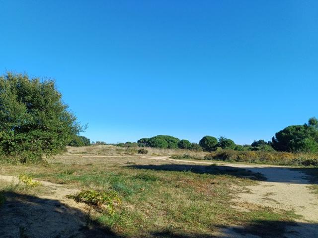 Latour Bas Elne Vente Terrain 66