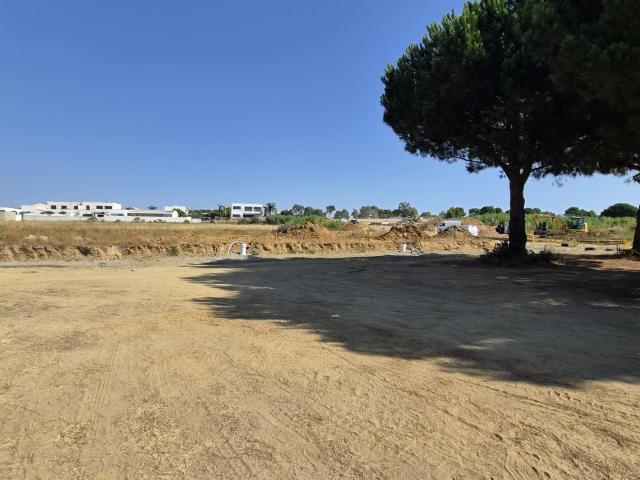 Latour Bas Elne Vente Terrain 66