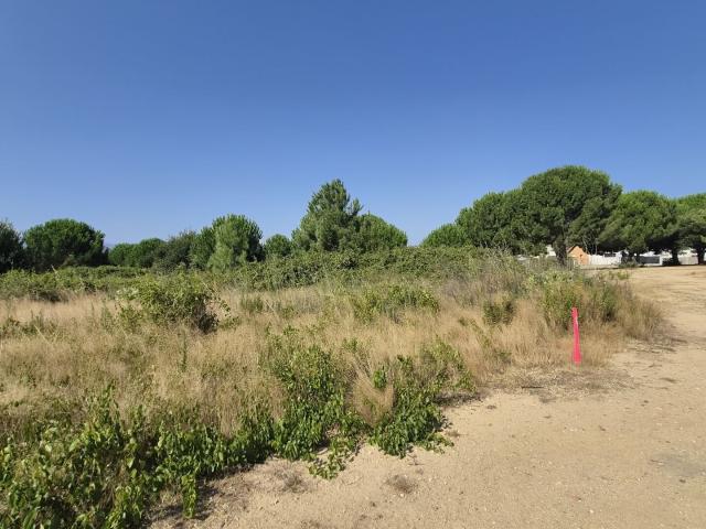 Latour Bas Elne Vente Terrain 66