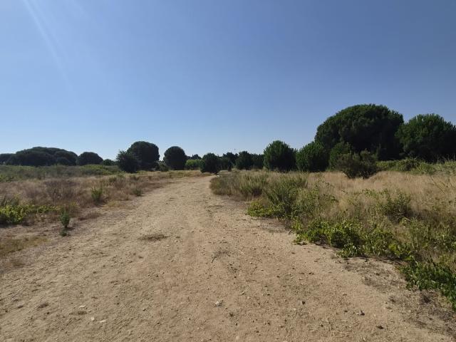 Latour Bas Elne Vente Terrain 66