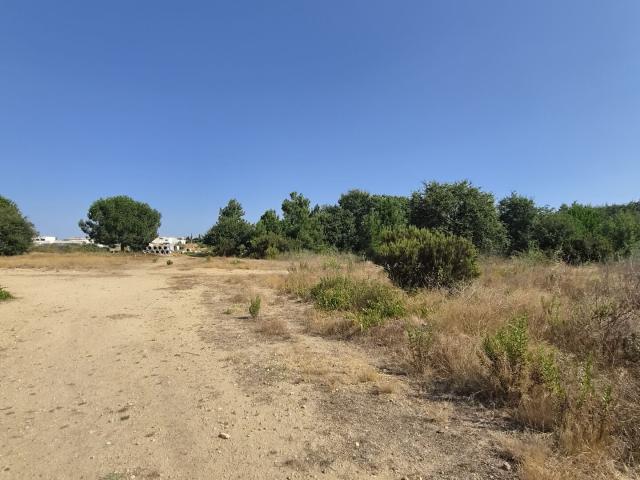 Latour Bas Elne Vente Terrain 66