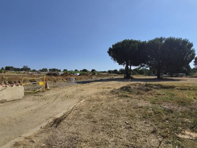 Latour Bas Elne Vente Terrain 66