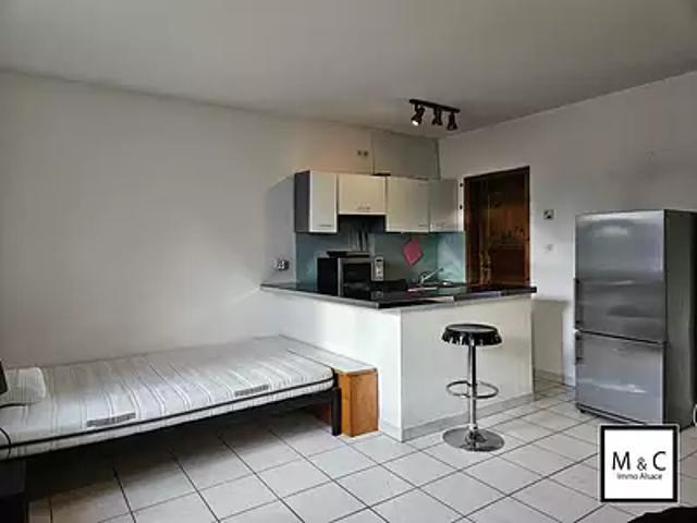Lauterbourg 67630 Location appartement 1 pièce t1 au dernier étage cave