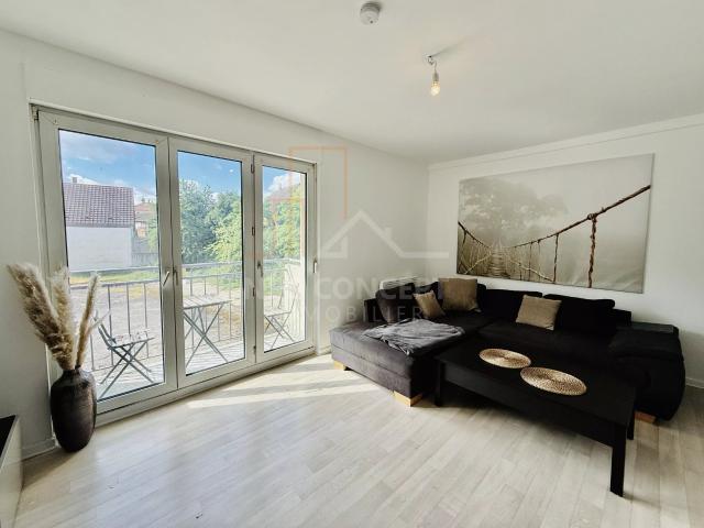 Lauterbourg Location Appartement 67