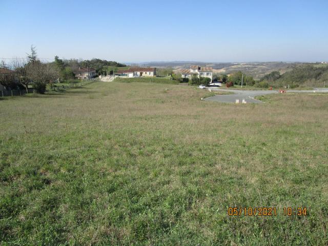 Lautrec Vente Terrain 81