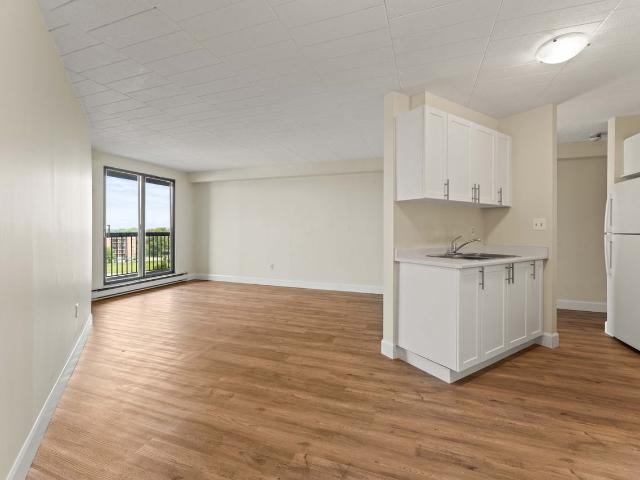 Lauzon Tower Apartments 1 Bedroom Apartment for Rent at 1330 Lauzon Rd, Windsor, ON N8S 4P6 Riverside