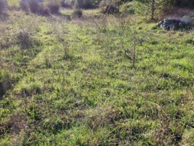 Laval Pradel Vente Terrain 30