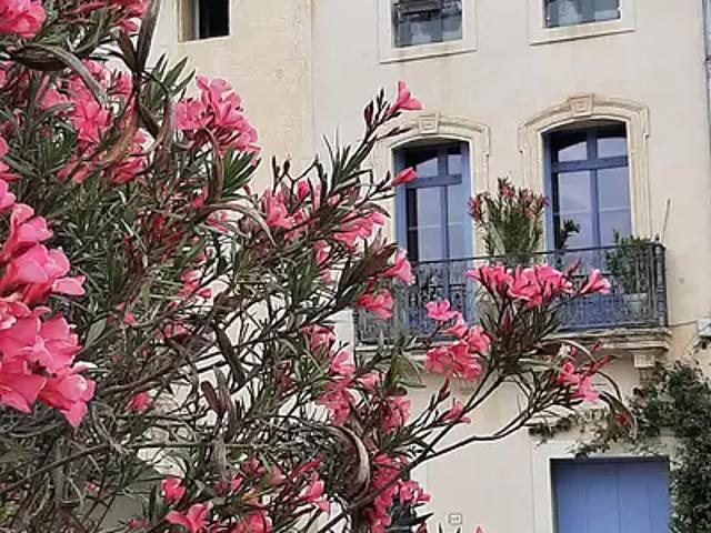 Lavérune 34880 Achat / Vente maison 6 pièces t6 terrasse