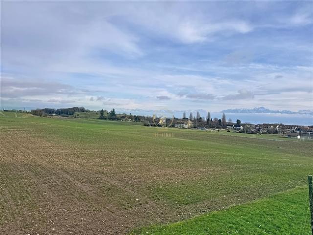 LAVIGNY – Wunderschönes Reihenhaus mit Blick auf den See