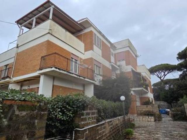 lavinio appartamento