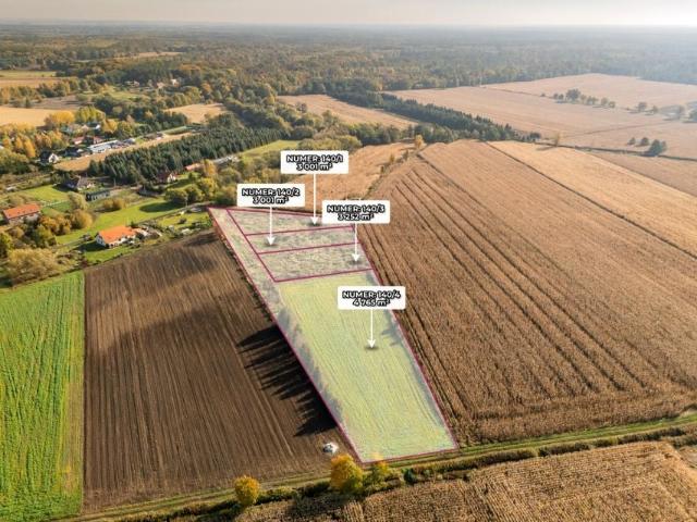 Lawendowa 3 001 m², Kątna