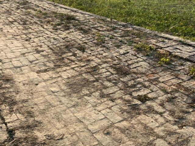 Laxmi Properties 2550 Sq.Ft. Plot in Kamta Lucknow Listing ID: #9635
