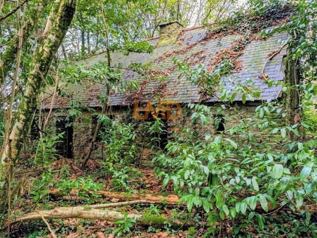 Laz Vente Maison 29
