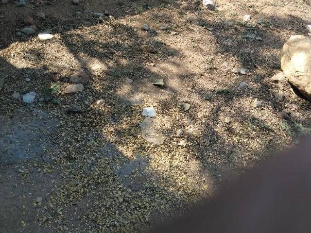 Lb Nagar 300 Sq.Yd. Plot in Lb Nagar Hyderabad Listing ID: #10189