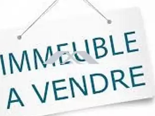 Le Tampon 97430 Achat / Vente immeuble