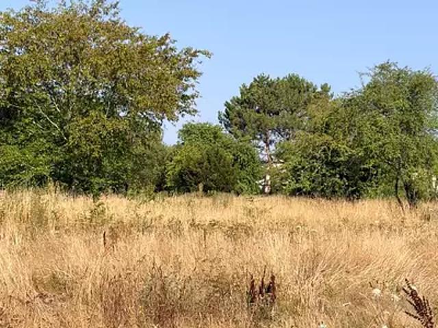 Le Taillan Médoc 33320 Programme neuf terrain neuf à vendre