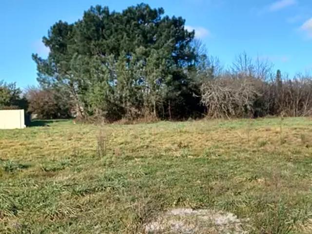 Le Taillan Médoc 33320 Programme neuf terrain neuf à vendre