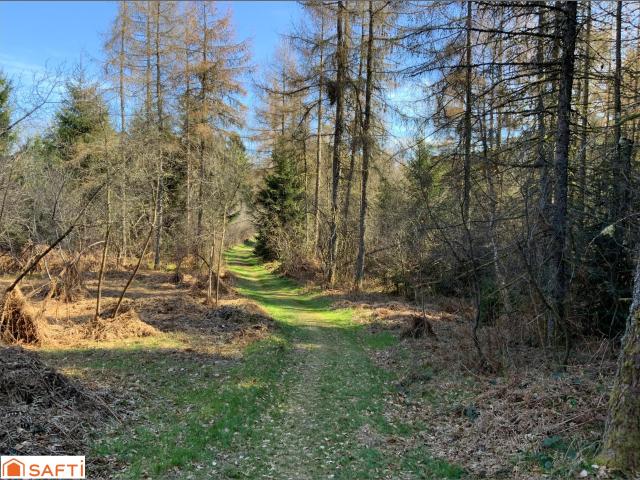 Le Tholy Vente Terrain 88