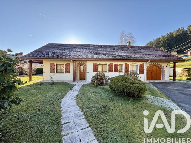 Le Tholy Vente Maison 88