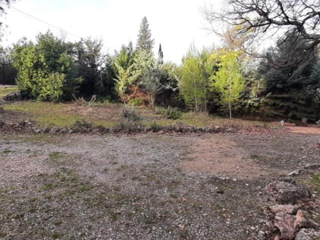 Le Thoronet Vente Terrain 83