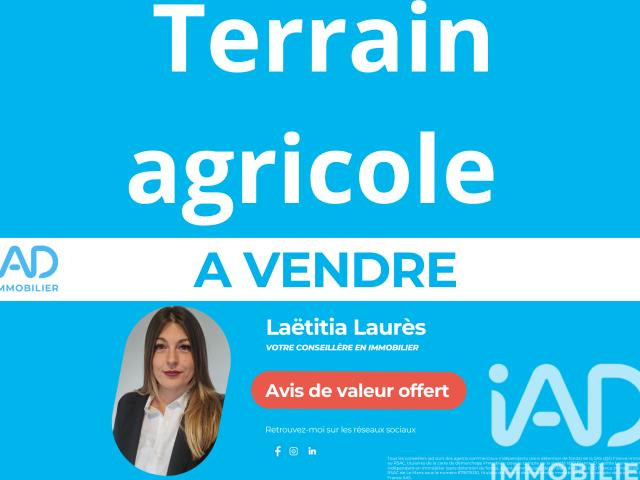 Le Theil Vente Terrain 61
