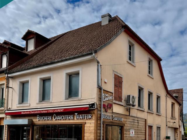Le Thillot Vente Immeuble 88