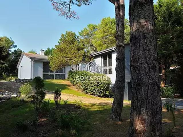 Le Touquet Paris Plage 62520 Achat / Vente maison 6 pièces t6