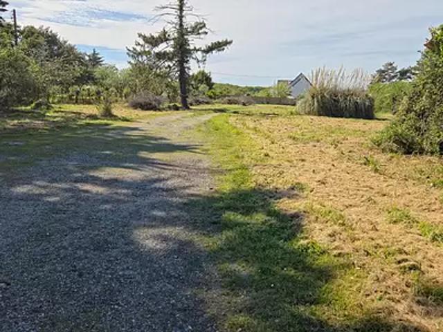 Le Tour du Parc 56370 Achat / Vente terrain