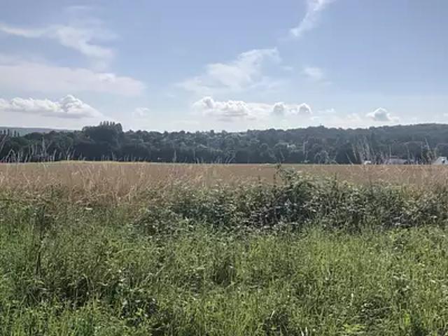 Le Tremblay sur Mauldre 78490 Achat / Vente terrain
