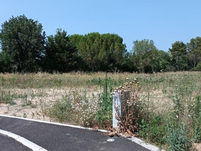 Le Triadou Vente Terrain 34