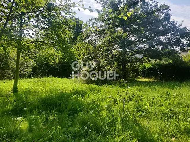 Le Val Saint Germain 91530 Achat / Vente terrain