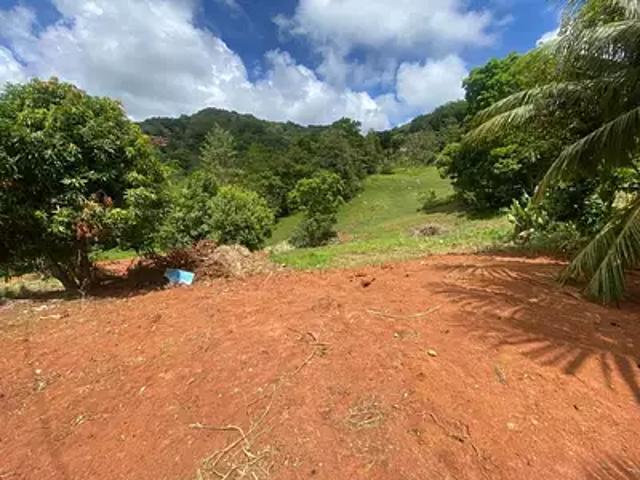 Le Vauclin 97280 Achat / Vente terrain