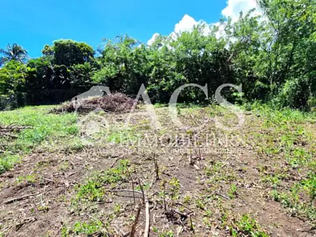 Le Vauclin 97280 Achat / Vente terrain