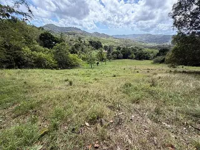 Le Vauclin 97280 Achat / Vente terrain