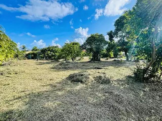 Le Vauclin 97280 Achat / Vente terrain