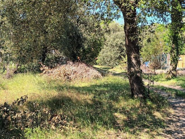 Le Verdon sur Mer Vente Terrain 33