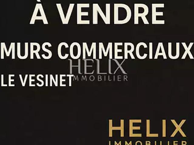 Le Vésinet 78110 Achat / Vente divers