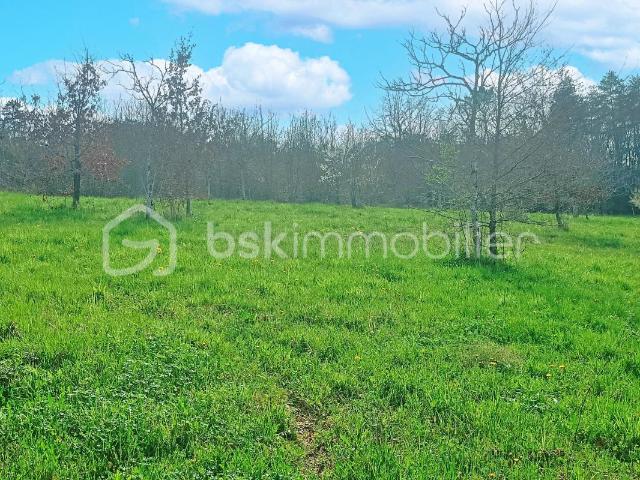 LE VIGAN 46300 TERRAIN A BATIR 2971m2