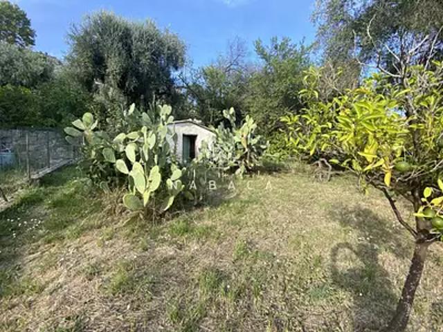 Le Bar sur Loup 06620 Achat / Vente terrain